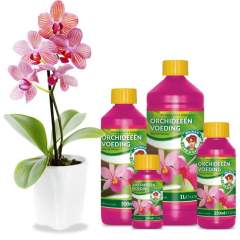 Orkidea ravinne Orchid Nutrition 100ml