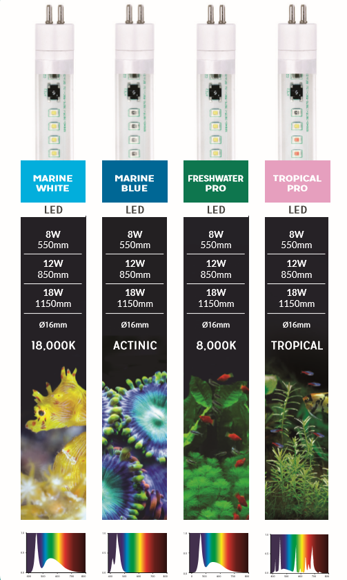 T5 LED (tilaustuote)