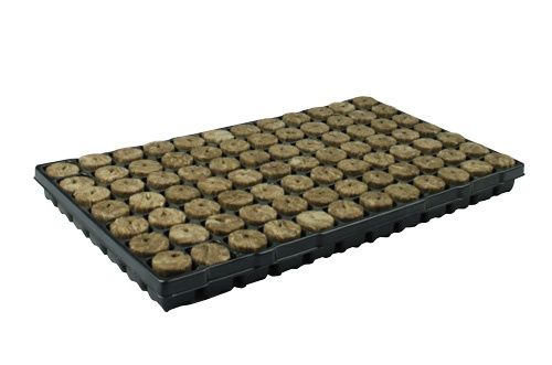 Speedgrow Kivivilla Plug Tray 84 – 38/35 mm holes (Earthwool®)