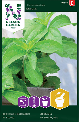 Stevia siemenet 10-14kpl pussi