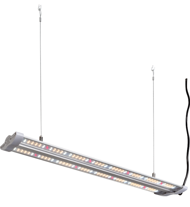 LED- Kasvivalaisin Hortimol 40W 2.3