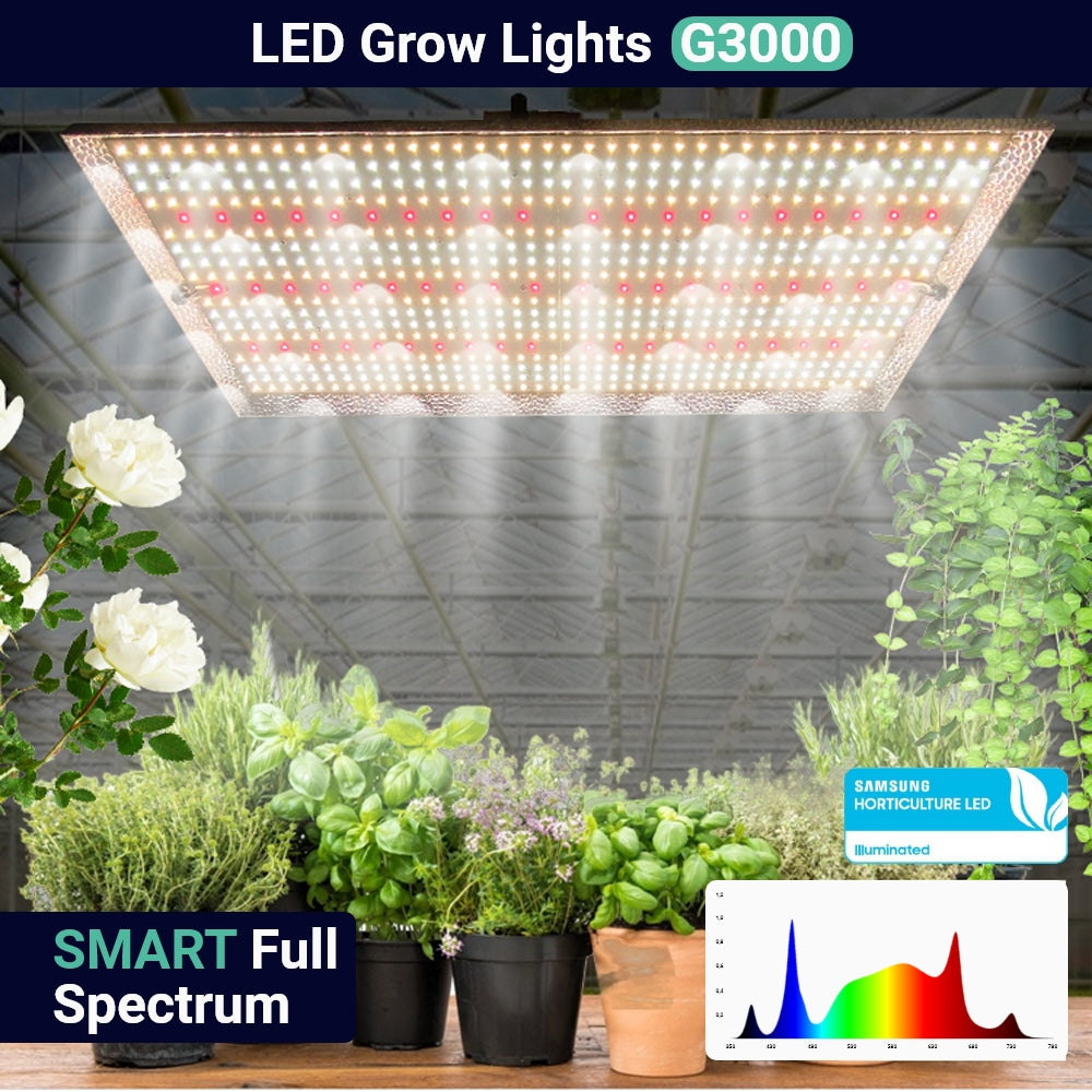 LED-Kasvivalo 300W Growealth G3000 ENNAKKOTILAUS