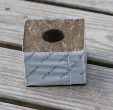 Speedgrow Kivivilla Start Block 10x10x6,5 cm – Small Hole 28/35