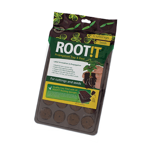 Kasvualusta Rootit 24 plugia