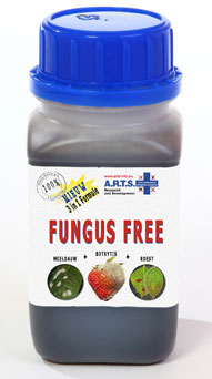 Sienien torjunta-aine Arts Fungus Free 250ml