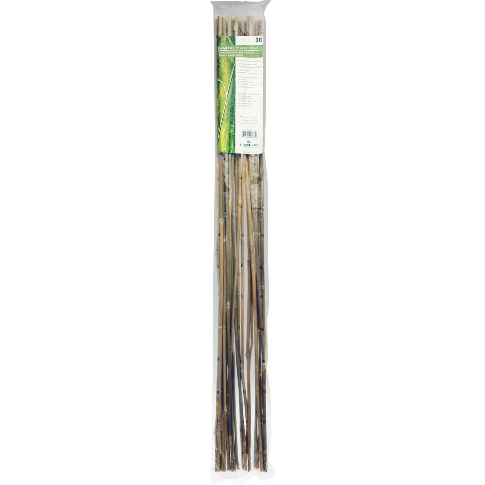 Bambu tuet