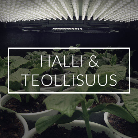 Halli & Teollisuus