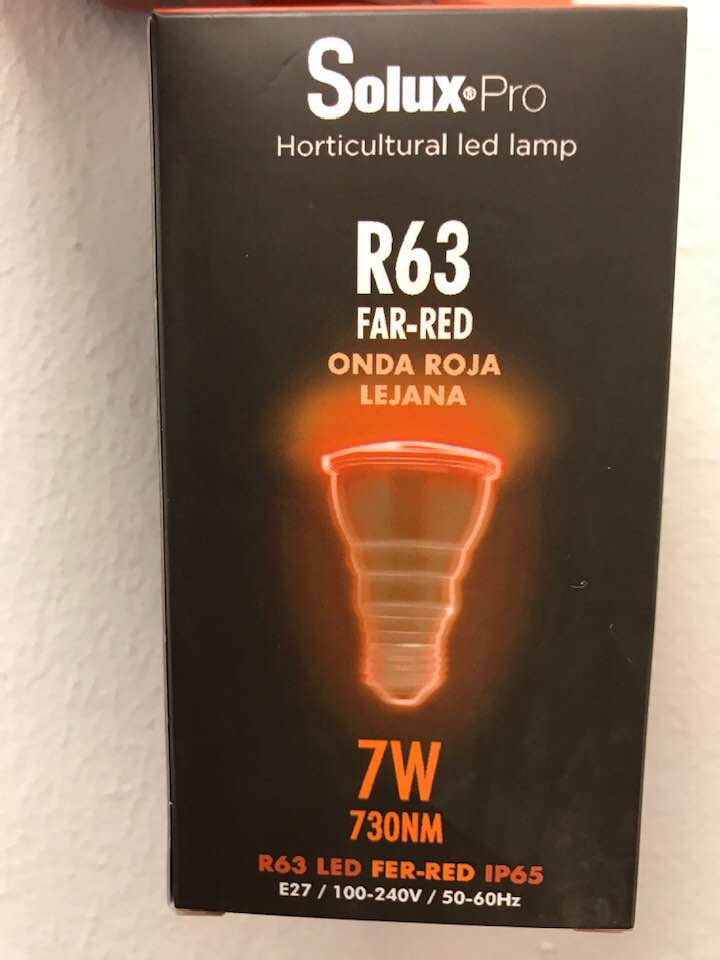 Hieronta porno sivusto