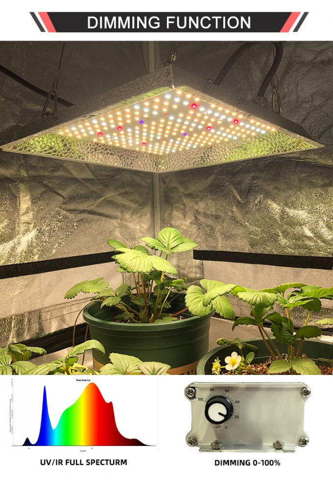 LED-Kasvivalaisin Samsung Super Board VP-Lux  240W 