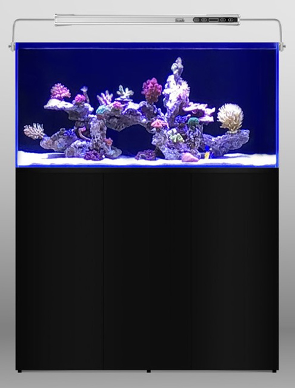 Aquarium Systems - L'Aquarium 570L Akvaario + Musta kabinetti 120cm (tilaustuote)