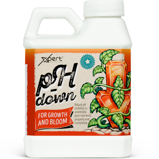 Xpert Nutrients pH Down 1 L – pH:n alentaja ravinneliuokselle