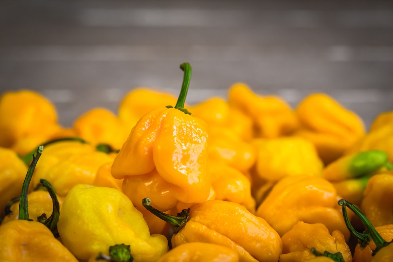 Carolina Reaper Yellow siemen 5kpl 