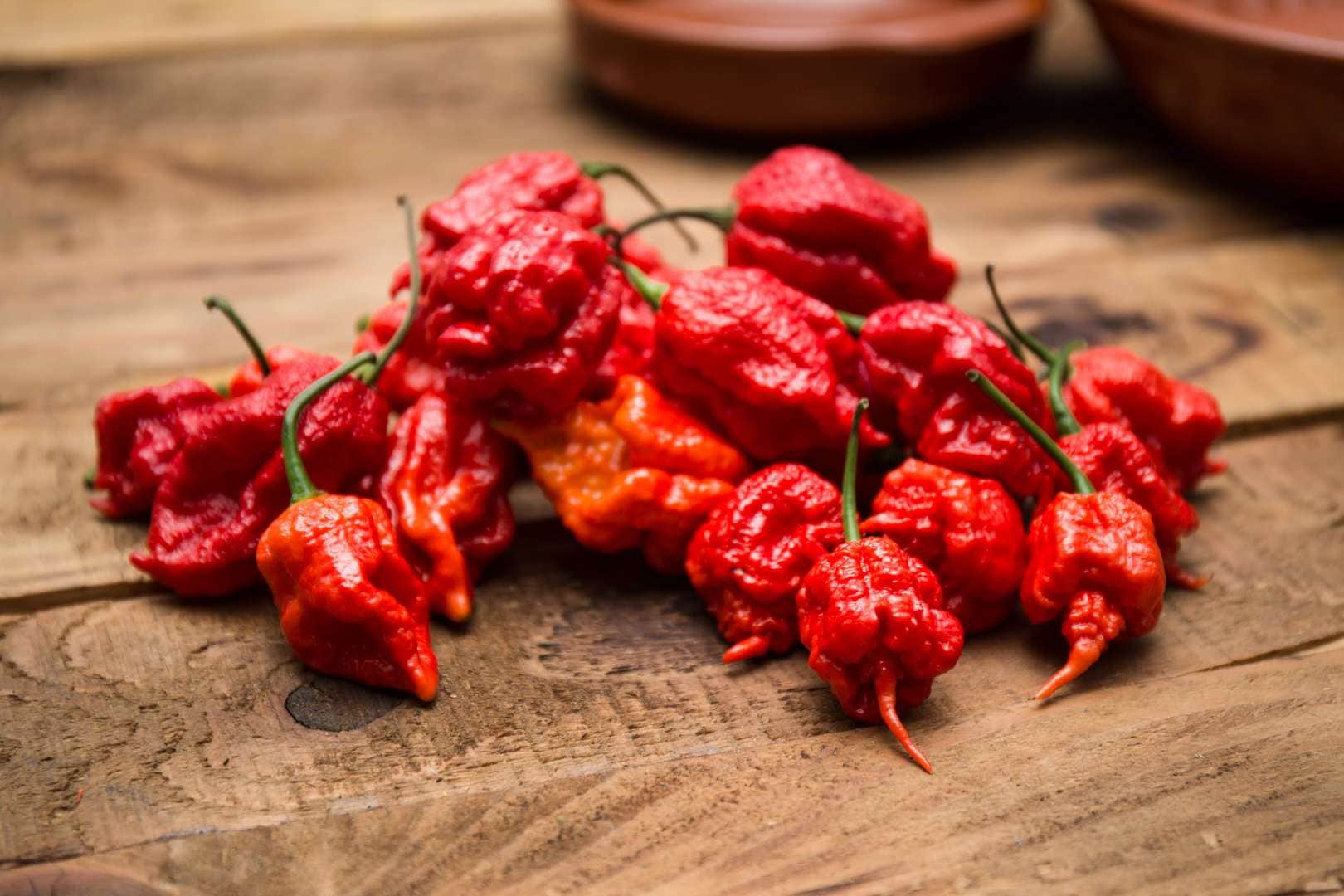 Carolina Reaper Brown siemen 5kpl 