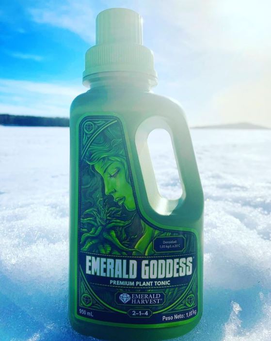 Kasviravinne Emerald Harvest Emerald Goddess