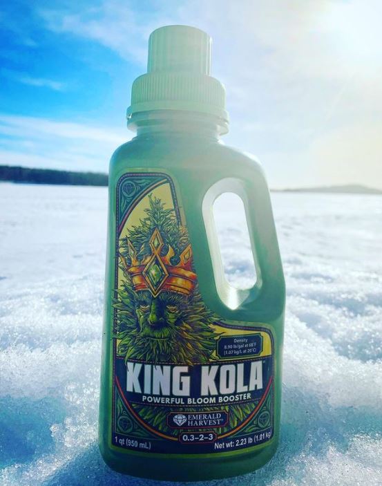 Emerald Harvest King Kola, Kukitusravinne 