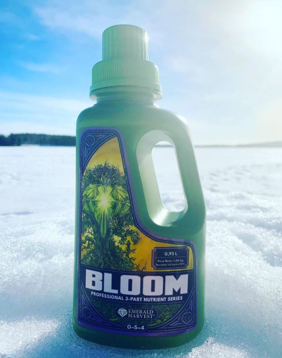 Emerald Harvest Bloom, Kasviravinne