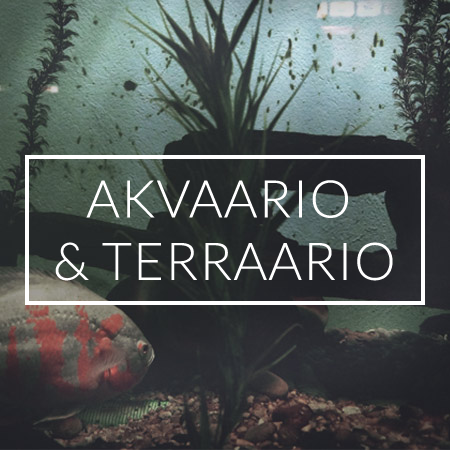 Akvaario & Terraario