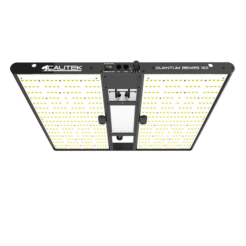 Calitek - Led Quantum Bears 160W 2.8