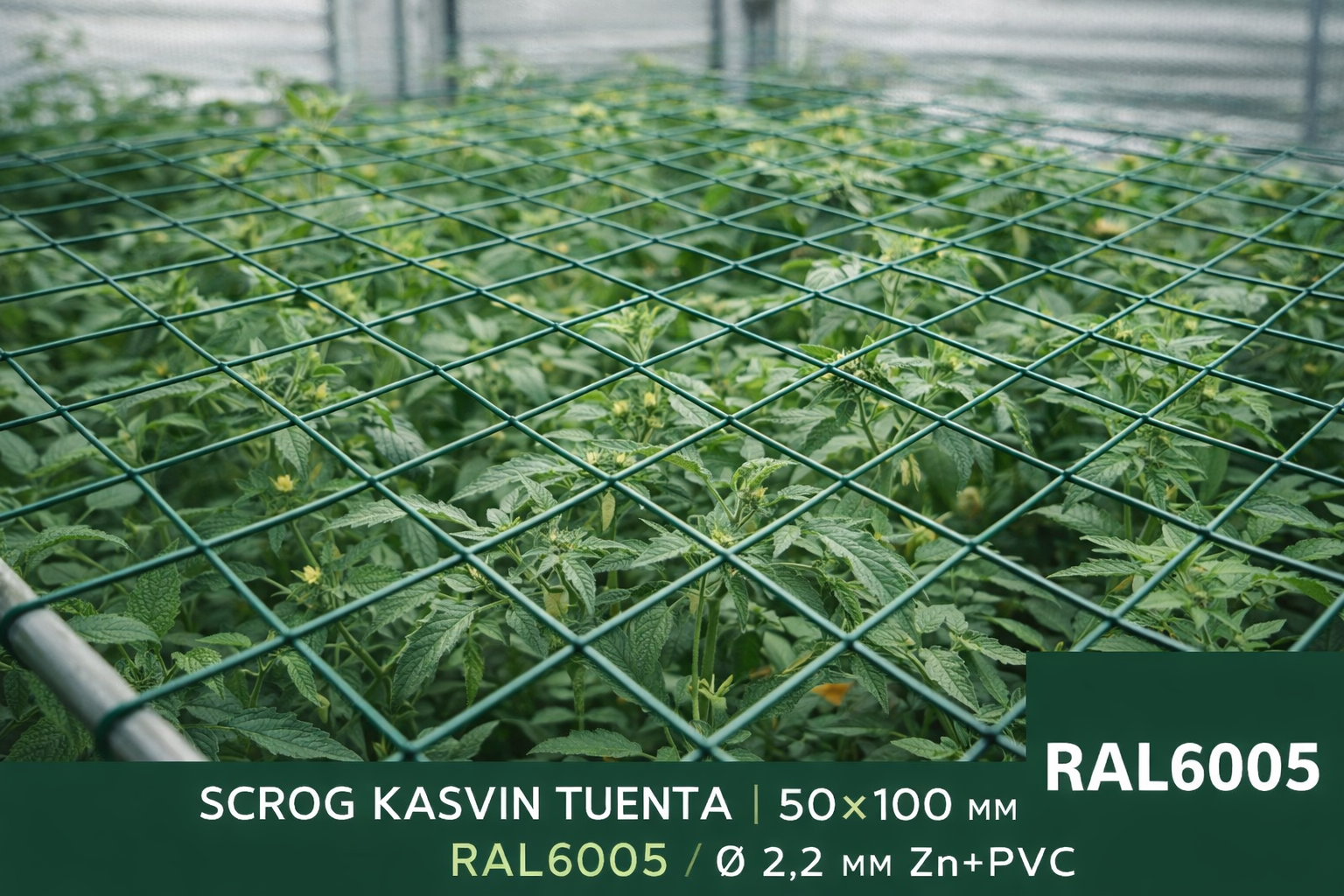 Verkkoaita 50 x 100mm metreittäin vihreä | SCROG kasvituki | VP-Lux