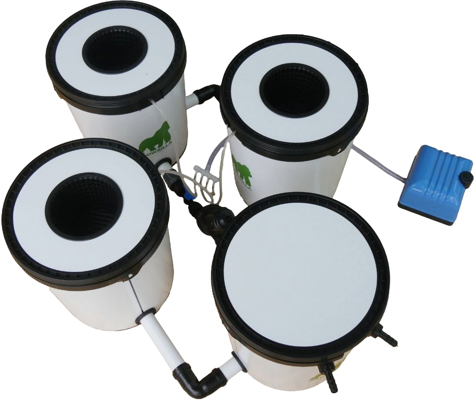 Growrilla RDWC 2.0 – 3 × 19 L (kiertovesi DWC)