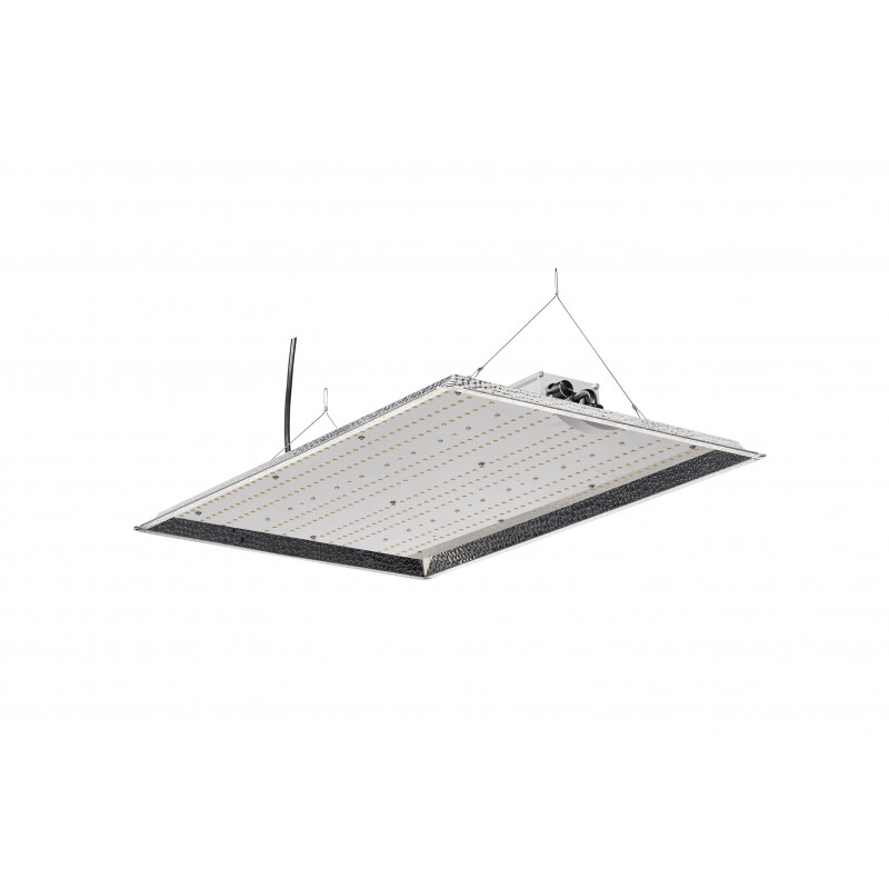 Kasvilamppu LED Hortimol 180W QB180A 