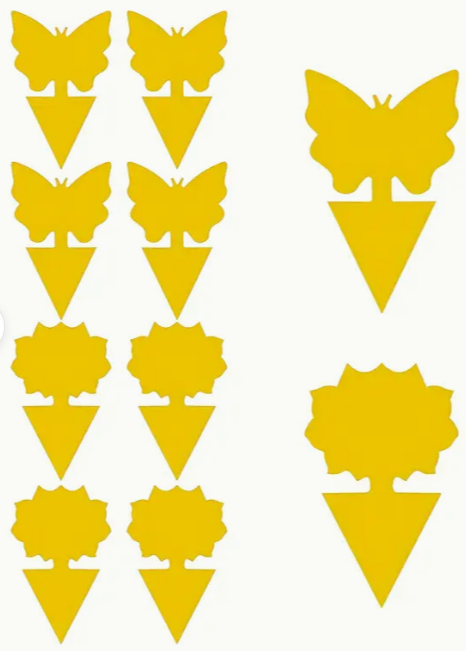 Hyönteisansa 5kpl