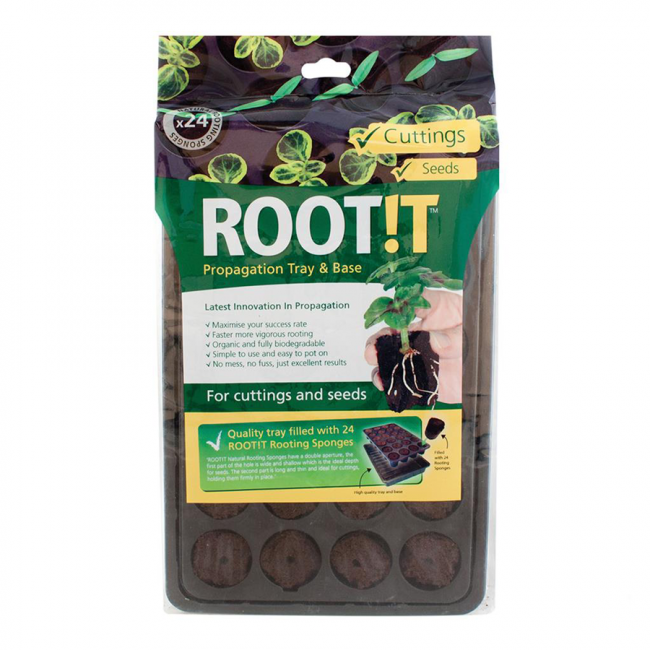 Idätysalusta Rootit 24