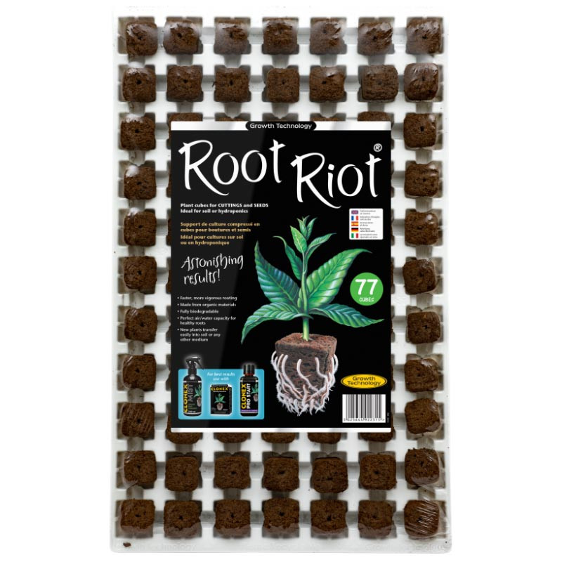 Idätys/pistokasalusta Root Riot 77