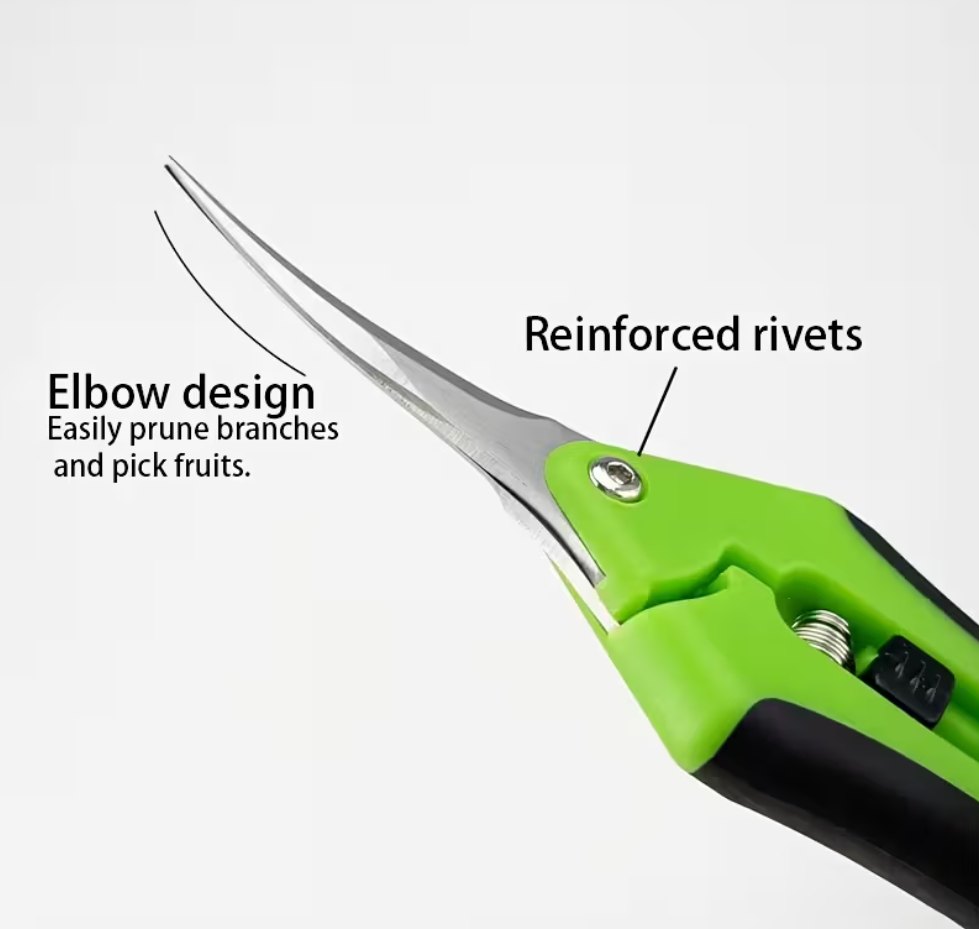 Kasvisakset, kaareva terä 17 cm – vihreä tai oranssi, grippikahva 