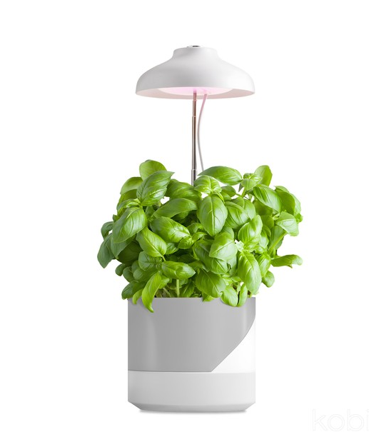Kobi LED VERDI 5W 3200K