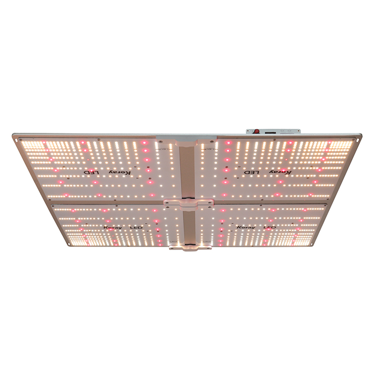 Kasvilamppu Koray LED 430W G4000 