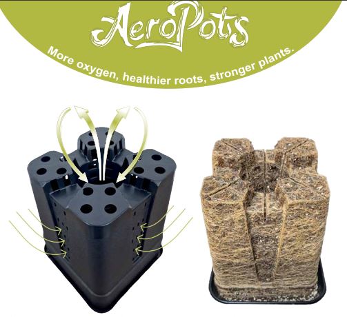 Neliöruukku Aero Pot 11L 