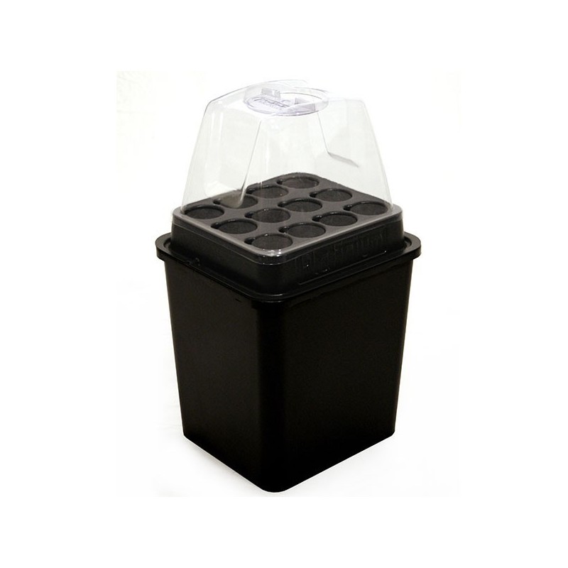 Vesiviljely Aero Super Cloner 12 kannella, Platinium
