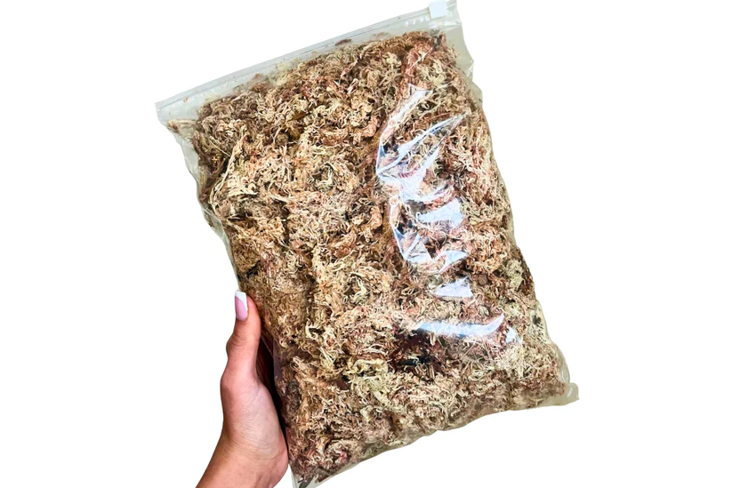 Rahkasammal 20gr / Puhdas