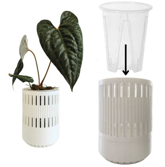 Ruukunsuoja, Aroid pot 10cm