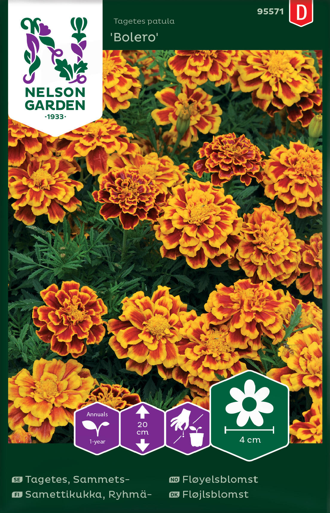 Ryhmäsamettikukka siemenet, Bolero - Nelson Garden 95571
