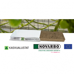 Kasvualusta Mosswool Rahkasammal 50 x 19.5 x 7cm