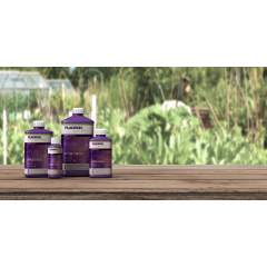 Plagron Vita Race 500ml