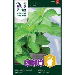 Stevia siemenet 10-14kpl pussi