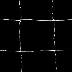 Valkoinen tukiverkko Trellis netting 152,4 x 457,2cm