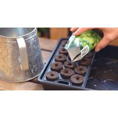 Pikkukennosto, 3-pack 