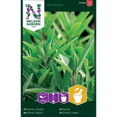 Salvia siemenet 20kpl pussi