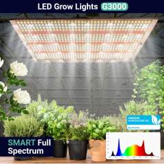 LED-Kasvivalo 300W Growealth G3000 ENNAKKOTILAUS