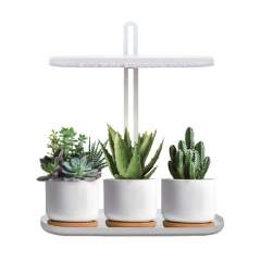 Kasvivalo LED 12W 4500K – Kobi Bloom | Sisäkasveille & Yrteille