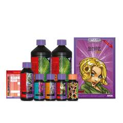 1L Box Bcuzz Coco, Hydro tai Soil 