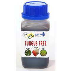 Sienien torjunta-aine Arts Fungus Free 250ml