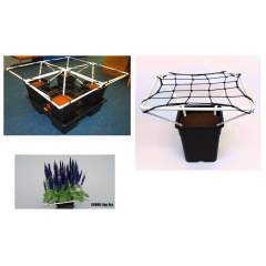 Scrog Line Pro
