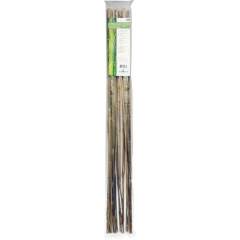 Bambu tuet