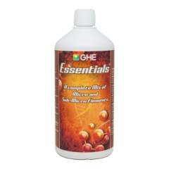 GHE B Essentials