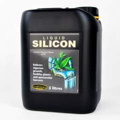 Liquid Silicon GT Ionic / Silikaatti 5.0L 